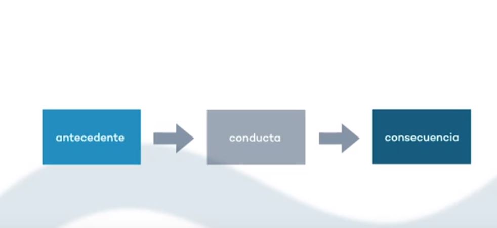 Control de estimulos